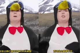 全程高能讽刺！美国人“扮企鹅”吐槽特朗普加征关税：想融入当地视频封面