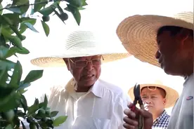 褚时健得罪惹不起的人，虽被判无期，但不肯低头，逆袭成亿万富翁