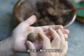 吃一颗就能管七天不饿的“仙丹”真的存在吗？