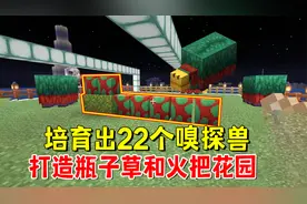 我的世界1.20联机87：培育出22个嗅探兽，打造瓶子草和火把花园