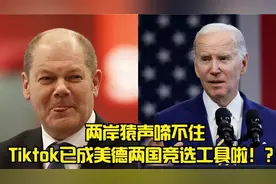 两岸猿声啼不住，海外抖音Tiktok已成美德两国的竞选工具啦！？