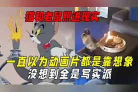 一直以为动画片都是靠想象没想到全是写实派：猫和老鼠照进现实