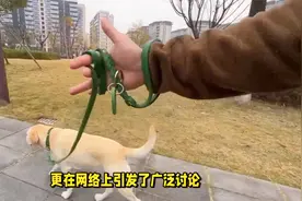 活该！上海男子遛狗不牵绳被警方处罚，曾说“你家小孩怎么不栓”视频封面