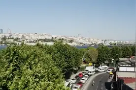 红豆杉都成了行道树，怎么还是一级保护植物？满大街都有还濒危？视频封面