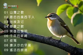 世界顶级纯音乐八首堪称经典 荡气回肠 直击灵魂深处 一生必听视频封面