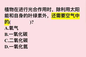 光合作用时，除利用太阳能和自身的叶绿素外，还需要空气中的？视频封面