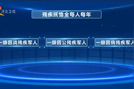 权威发布丨河北省再次提高部分优抚对象抚恤补助标准视频封面