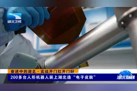 200多台人形机器人装上湖北造“电子皮肤”视频封面
