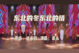 菲儿一首洗脑神曲《东北的冬东北的情》DJ版,东北人就说那东北话!