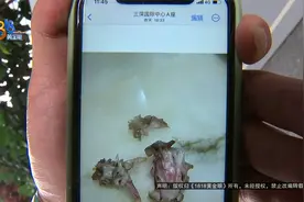 【1818黄金眼】牛蛙咬不动？因为一句话她打了1818的热线电话