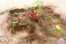 小伙伴一起做城堡，泥土做的城堡有城墙有花园，是每个女孩的梦视频封面