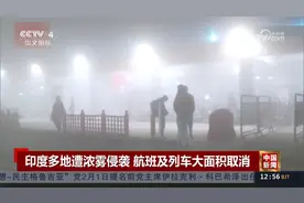 印度多地遭浓雾侵袭 航班及列车大面积取消视频封面