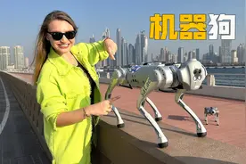 中国制造的仿生机器狗，陪逛陪玩还能帮你搬东西，售价不到2万视频封面