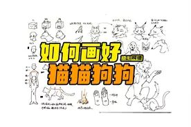 『动漫手绘』如何画好猫猫狗狗？｜数字媒体艺术考研｜绘画教程
