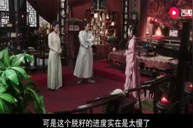 穿越男为棉花脱籽发愁，发重金高职位求贤，结果高人就在自己府中