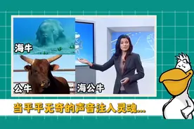 原来热梗都是有趣的发音形成的....