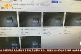 伪造邻居车牌照 侵占车位被拘留视频封面