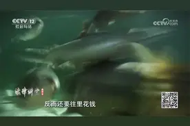 一起卖鱼途中两人相撞 退休老人申请20万误工费？法院：支持视频封面