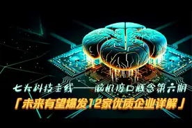 未来有望爆发的脑机接口概念12家优质企业详解（第六期）视频封面