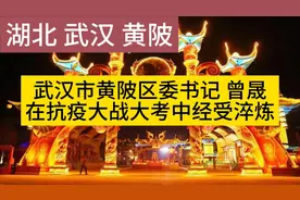 【发言】武汉市黄陂区委书记 曾晟
在抗疫大战大考中经受淬炼