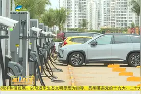 海南将调整电动汽车峰谷分时电价视频封面