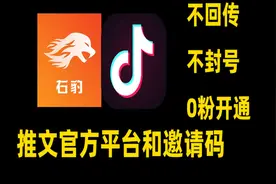 抖音故事 推文项目 教程  #推文  #小说推文   #右豹