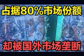 占据80%市场份额！国产新能源车芯片，却被国外市场垄断！视频封面