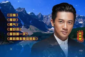 苏有朋经典歌曲《珍惜》《背包》《勇气》《爱好苦》等，百听不厌