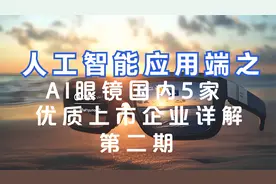 未来有望成长翻倍潜力企业AI眼镜国内5家优质上市企业详解（二）视频封面