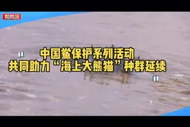 中国鲎保护系列活动：共同助力“海上大熊猫”种群延续