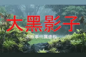 东北小姐姐的自述，楼下的阿姨出事前，被人瞧见身上趴个大黑影子视频封面