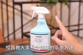 家庭养花植物上发现了虫子怎么办?园艺师教你，用杀虫喷射剂视频封面