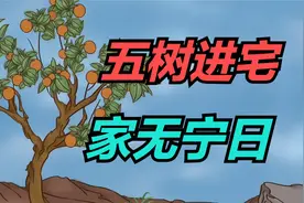 “五树进宅，家无宁日”，不管院子多大，这5种树不要栽种！