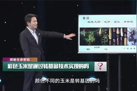 中学生如何判断转基因玉米视频封面
