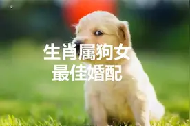 生肖属狗的女人最配哪些生肖男人？意想不到的组合让你惊喜！