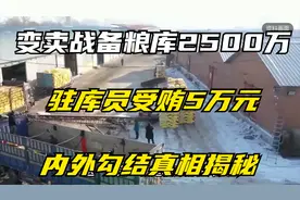 变卖战备粮库获取2500万，驻库员受贿5万元，内外勾结真相揭秘视频封面