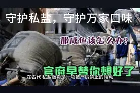 在古代私盐为什么禁止视频封面