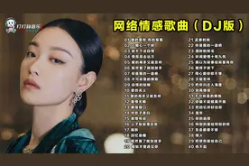 40首网络动感情感歌曲（DJ版）合集