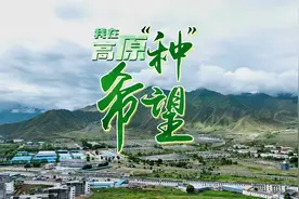 我在高原“种”希望视频封面