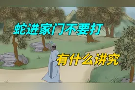 老人说“蛇进家门不要打”，为什么这么说？有什么讲究？视频封面