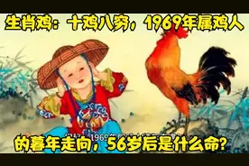 生肖鸡：十鸡八穷，1969年属鸡人的暮年走向，56岁后是什么命？视频封面