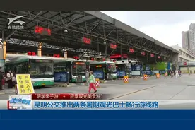 昆明公交推出两条暑期观光巴士畅行游线路视频封面