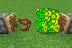 我的世界：游戏里面奇怪的合成，套索+经验=什么呢