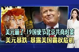 美元崩了？19国使节北京共商对策，美元暴跌暴露美国霸权危机！视频封面