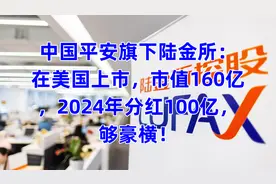 中国平安旗下放贷公司陆金所：在美国上市，2024年分红100亿视频封面