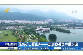 岱岳区中联水泥：边开采、边治理，矿区可绿化区绿化率达到100%视频封面