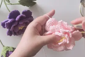 第四集 大花朵第三层花瓣钩织教程