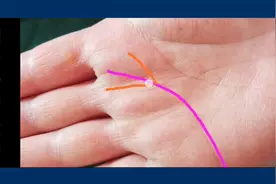 手握“凤尾纹”也叫“婚姻幸福线”的手相“嫁的比较好”！