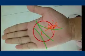 智慧线上出现“三角纹”在“学术或理论上有建树”的手相