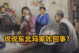 说i说东北马家咋回事？视频封面